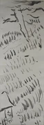 作品画像