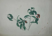 作品画像