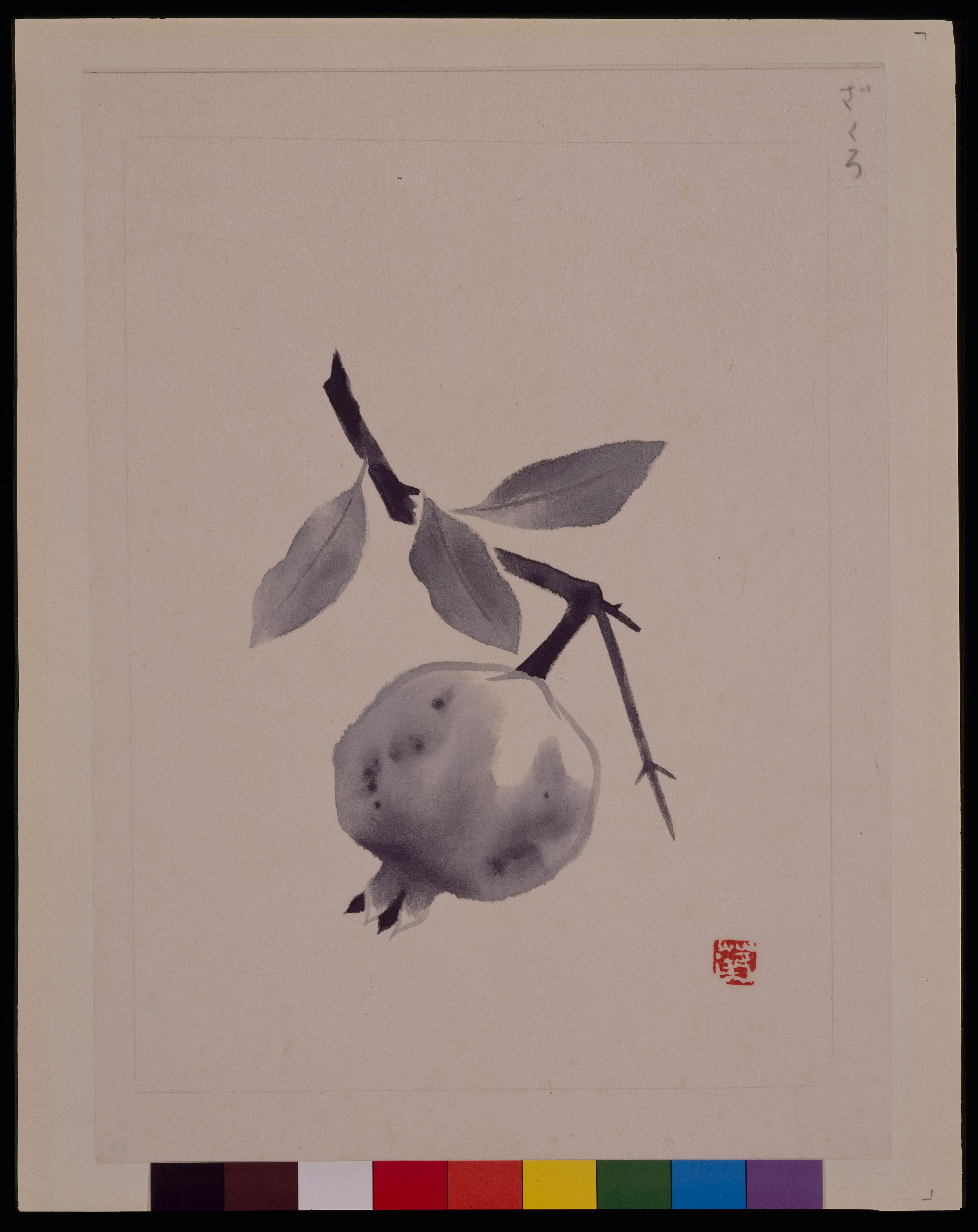 山口蓬春《挿画 ざくろ》 | アートプラットフォームジャパン（APJ）