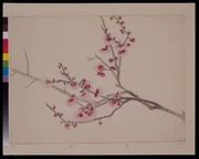 作品画像