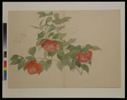 作品画像