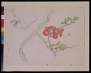 作品画像