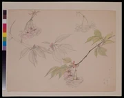 作品画像