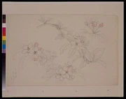作品画像