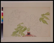 作品画像