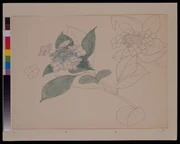 作品画像