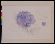 作品画像