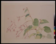 作品画像
