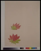 作品画像