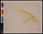 作品画像