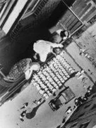 作品画像