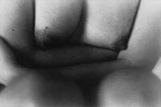 作品画像