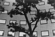 作品画像