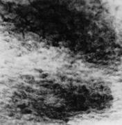 作品画像
