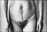 作品画像