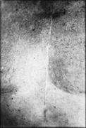 作品画像