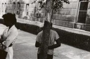 作品画像