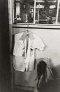 作品画像