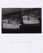 作品画像