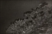 作品画像