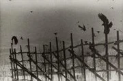 作品画像