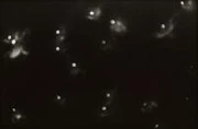 作品画像