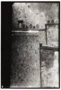 作品画像