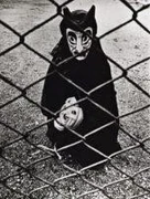 作品画像
