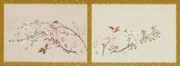 作品画像