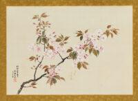 W623324-013.jpg?ts=2406100000