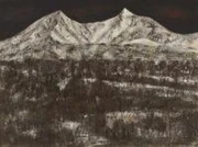 作品画像