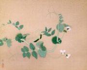 作品画像