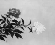 作品画像