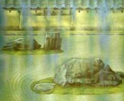 作品画像