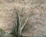 作品画像