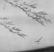 作品画像