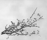 作品画像