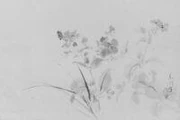 作品画像