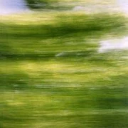 作品画像