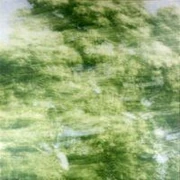 作品画像