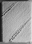 作品画像