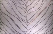 作品画像