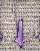 作品画像