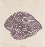 作品画像