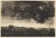 作品画像