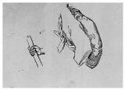 作品画像