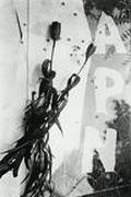 作品画像