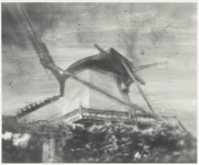作品画像