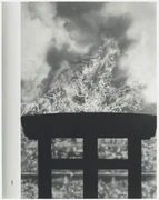 作品画像