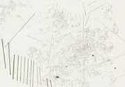 作品画像